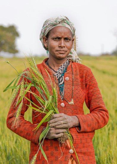 Indian farmer (1)