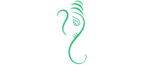Vinayak Polymers
